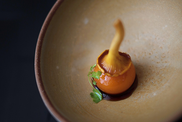 FuHuHui-ASIA-2018-DISH1